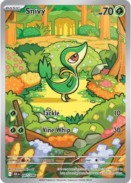 [ENG][NM] Karta Pokemon Snivy 087/086 - Black Bolt
