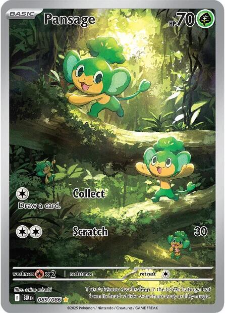 [ENG][NM] Karta Pokemon Pansage 089/086 - Black Bolt