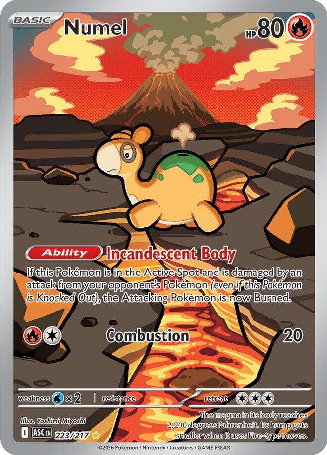 [ENG][NM] Karta Pokemon Numel 223/217 - Ascended Heroes