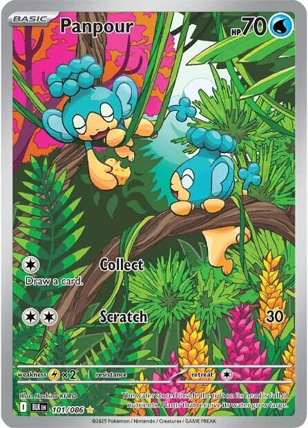 [ENG][NM] Karta Pokemon Panpour 101/086 - Black Bolt