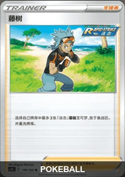 [CHN][NM] Karta Pokemon Brawly 116 - CS3BC [Pokeball Reverse]